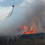 Haber gorseli
