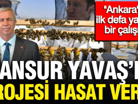 Mansur yavas 49qa